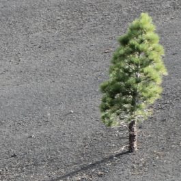 Lucas Myers R7F Cipagr E4 Unsplash Cropped D