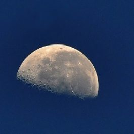 Moon